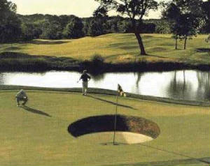 golf_funny.jpg